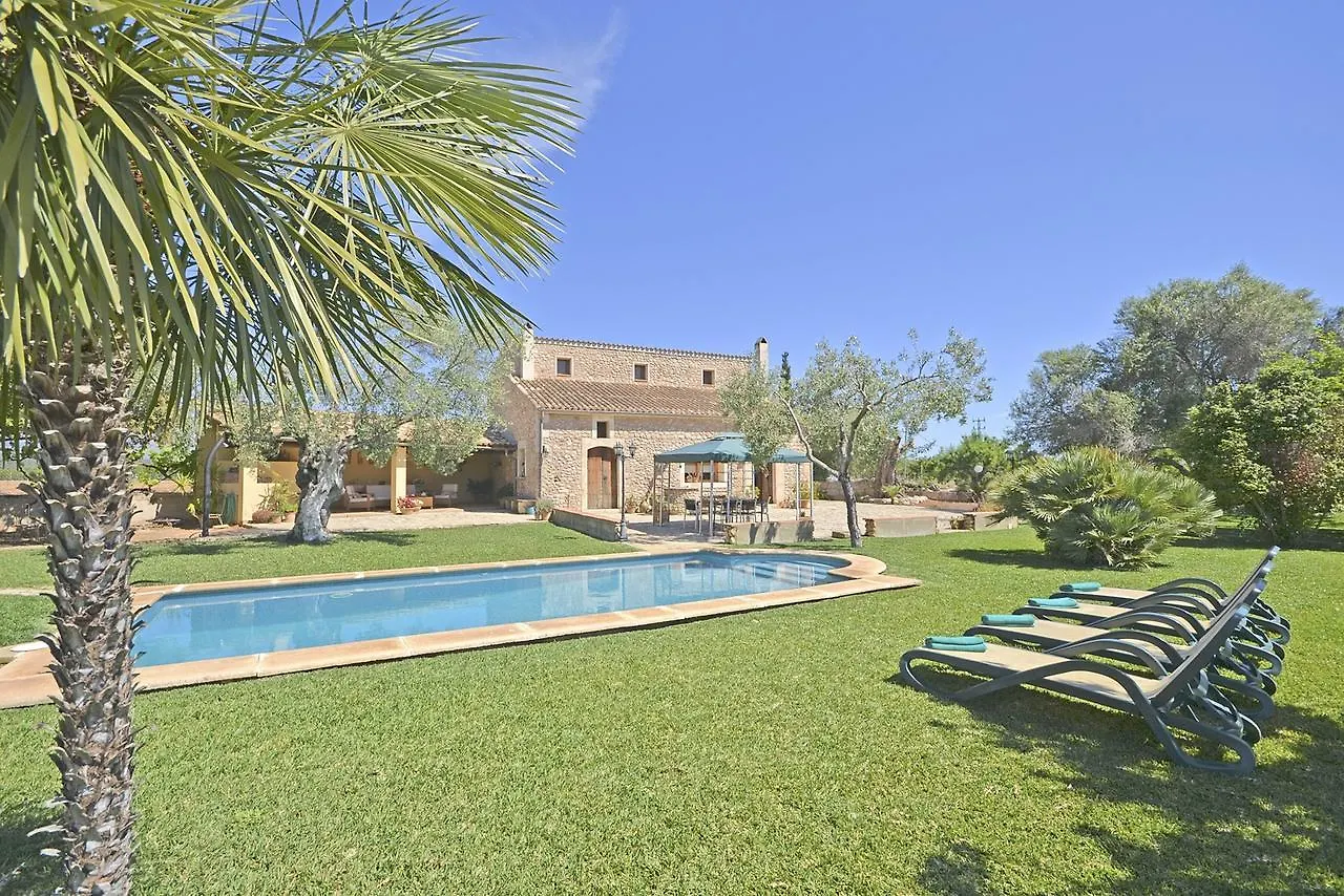 Villa Carratxet 布格 西班牙