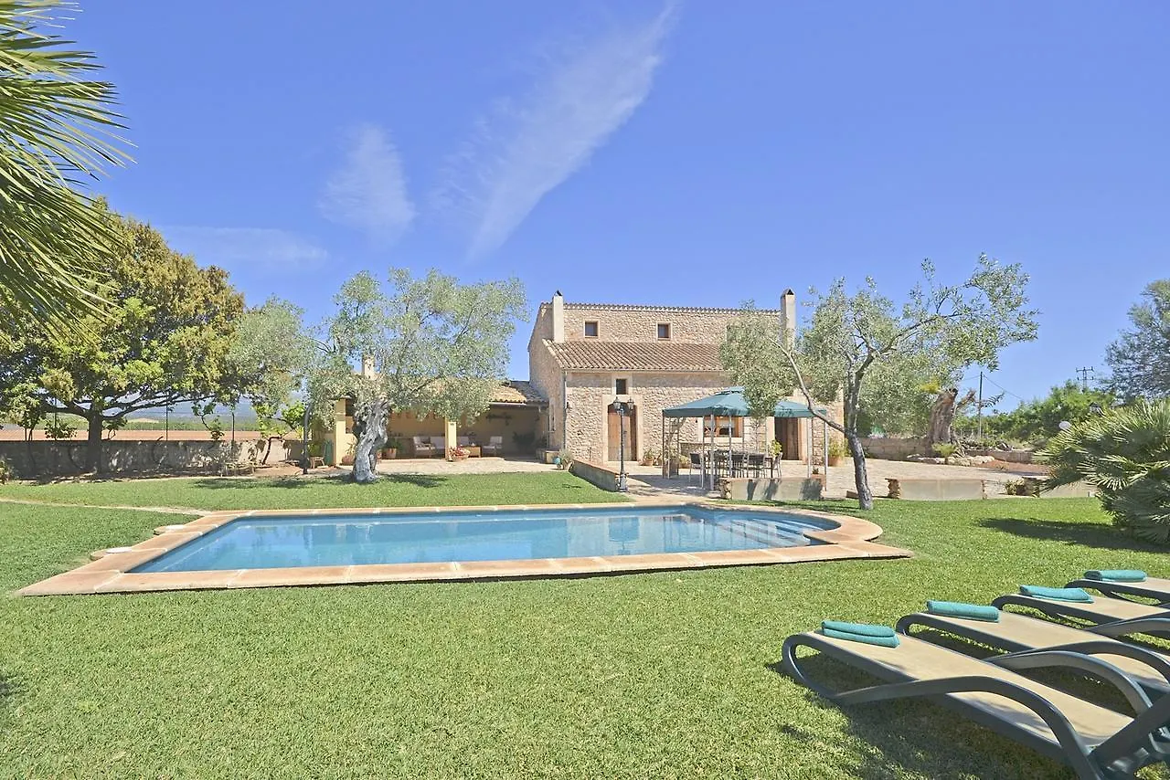 Villa Carratxet 布格