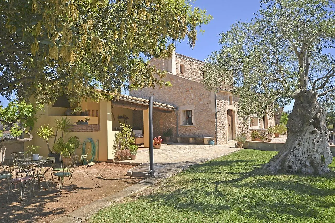 Villa Carratxet 布格